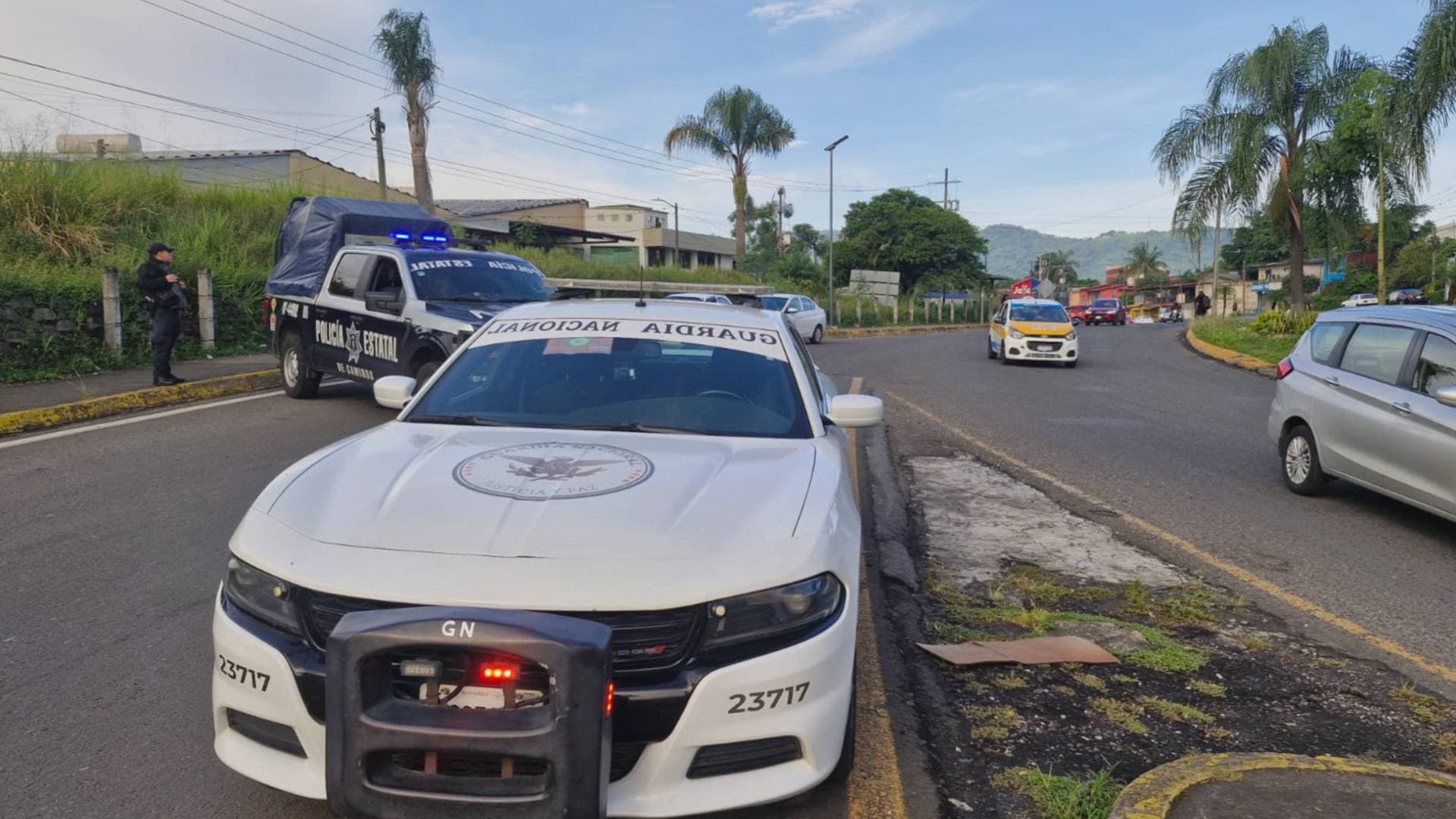 Caja de Tráiler se Desprende Mientras Circulaba y Termina Fuera de la Carretera en Veracruz