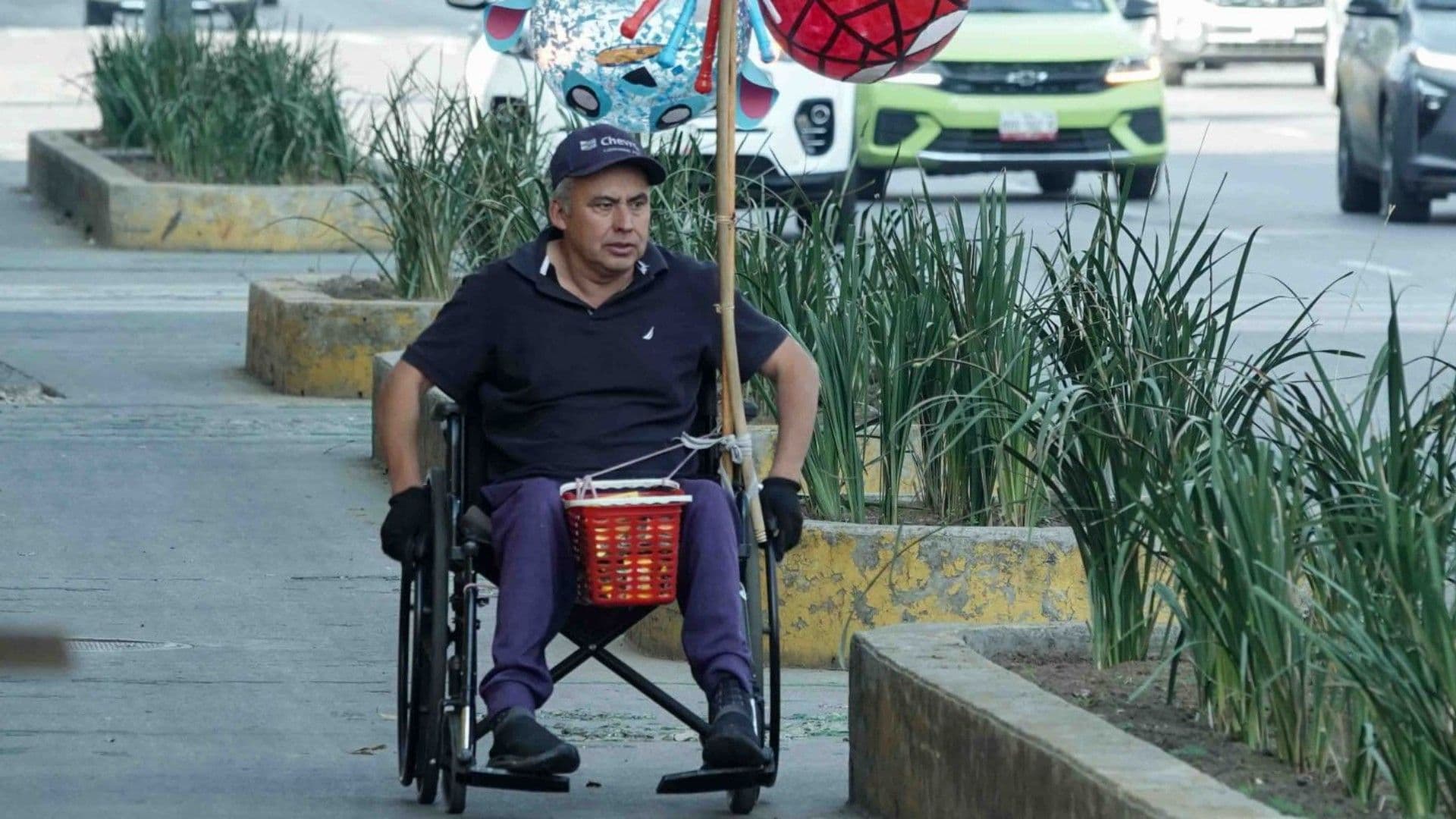 Checa los requisitos para hacer el Trámite Apoyo Económico Personas con Discapacidad 2026
