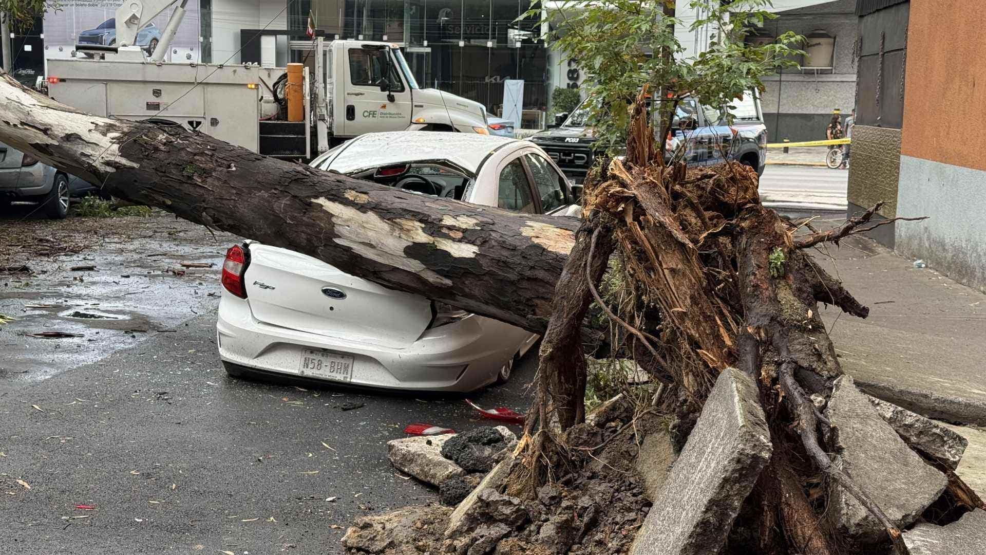 Fuertes vientos en CDMX. Foto: N+