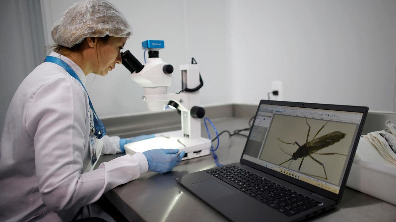Trabajadora observa con un microscopio un mosquito Aedes aegypti, en septiembre 2025. Foto: Reuters | Archivo