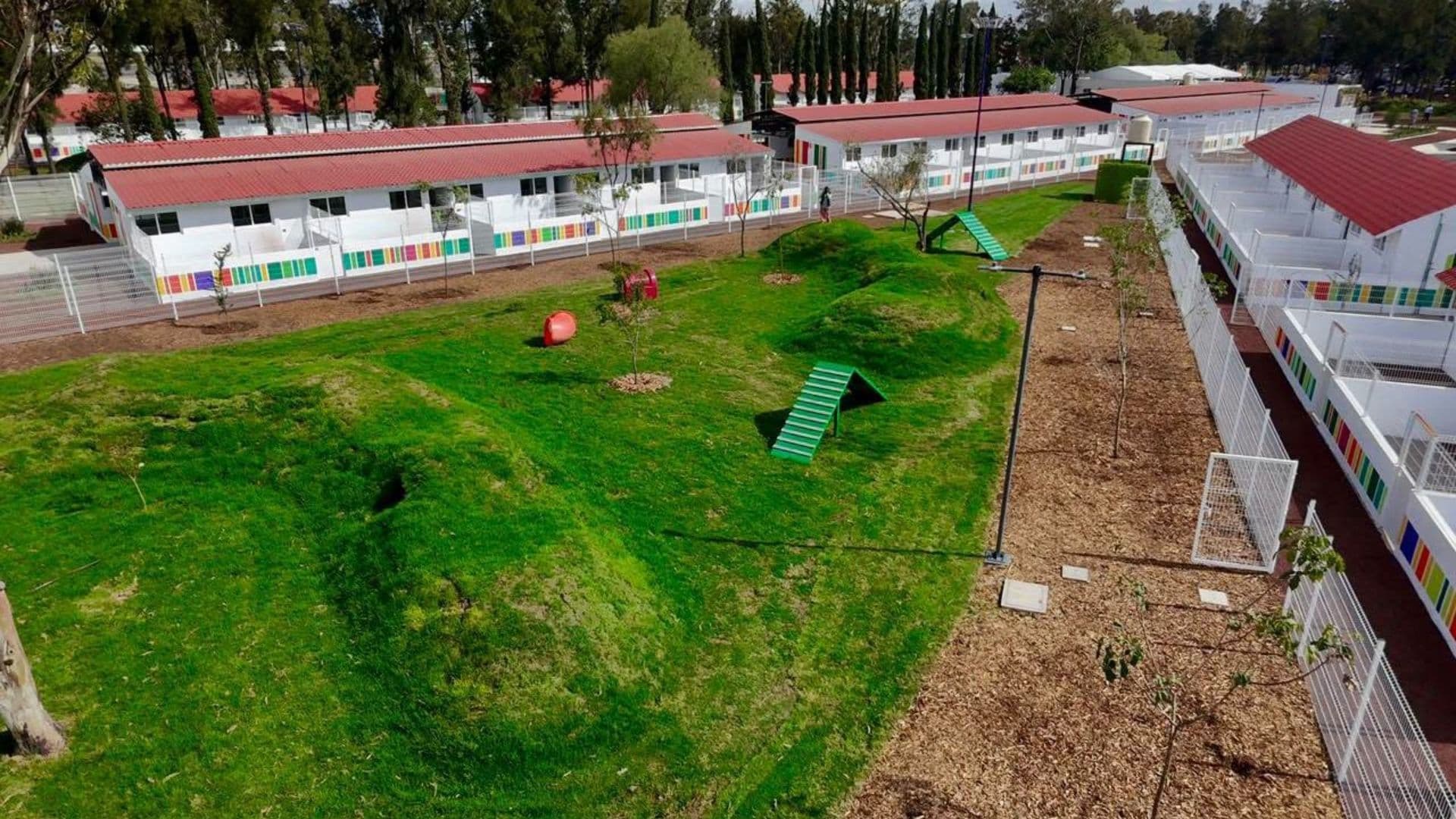 Refugio Xólotl para 600 Perros y Gatos: Esta es la Ubicación del Nuevo Albergue en CDMX