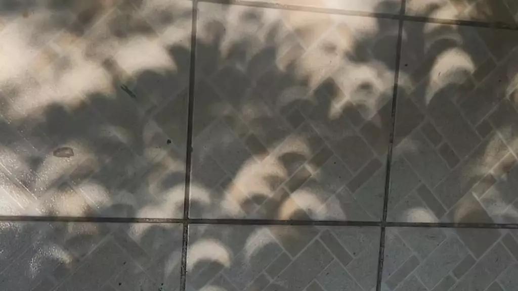 Foto: Efecto Pinhole Durante el Eclipse Solar