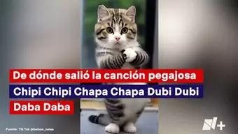¿De Dónde Salió la Canción Pegajosa Chipi Chipi Chapa Chapa Dubi Dubi Daba Daba?