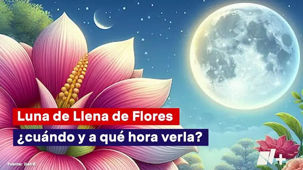 Foto: ¡Luna Llena de Flores! Descubre Qué es y en Qué días Podrás Disfrutarla