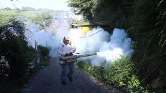 Foto: Casos de Dengue en México