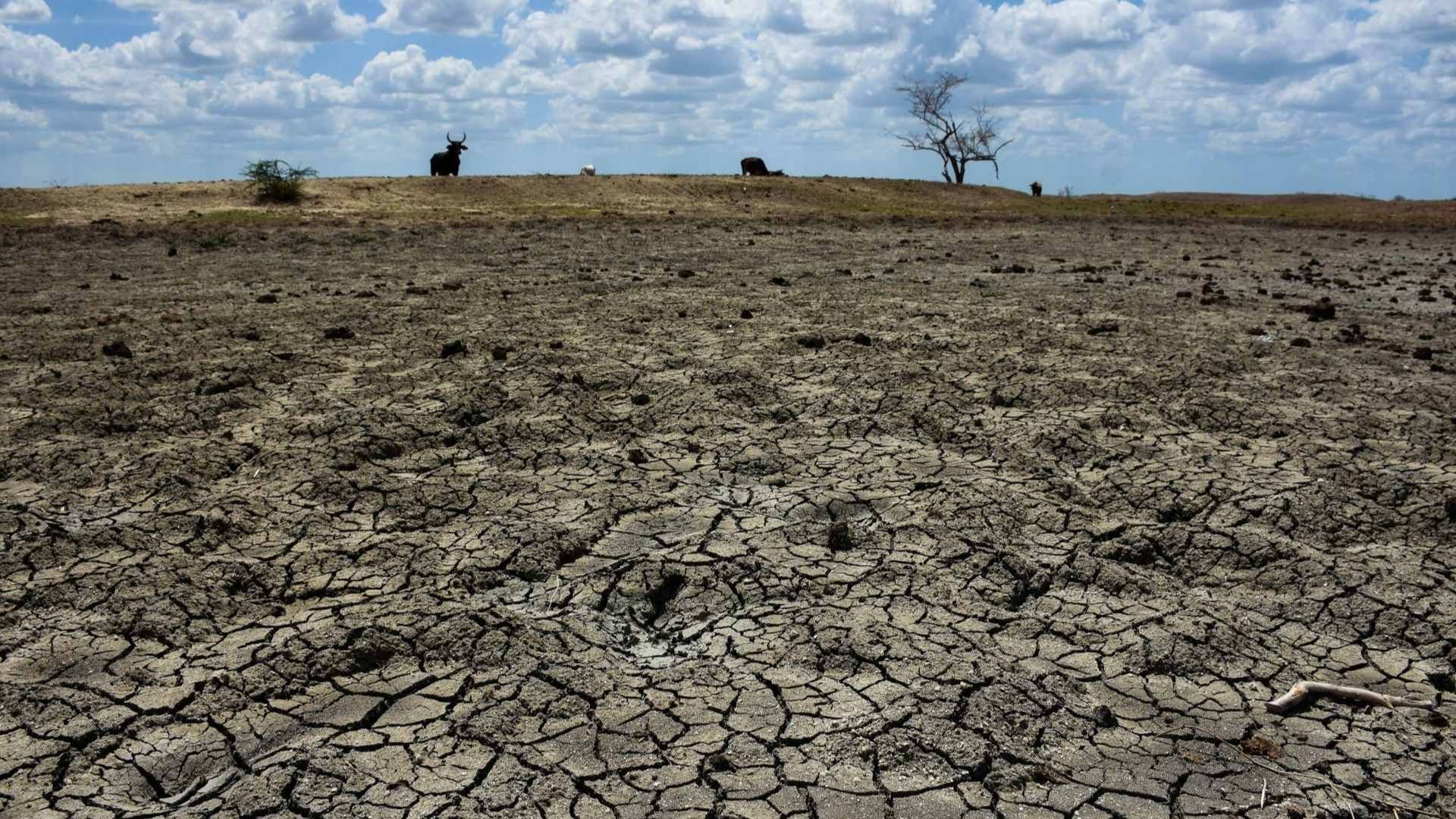 Sequía en la localidad de Alfredo V. Bonfil en Campeche