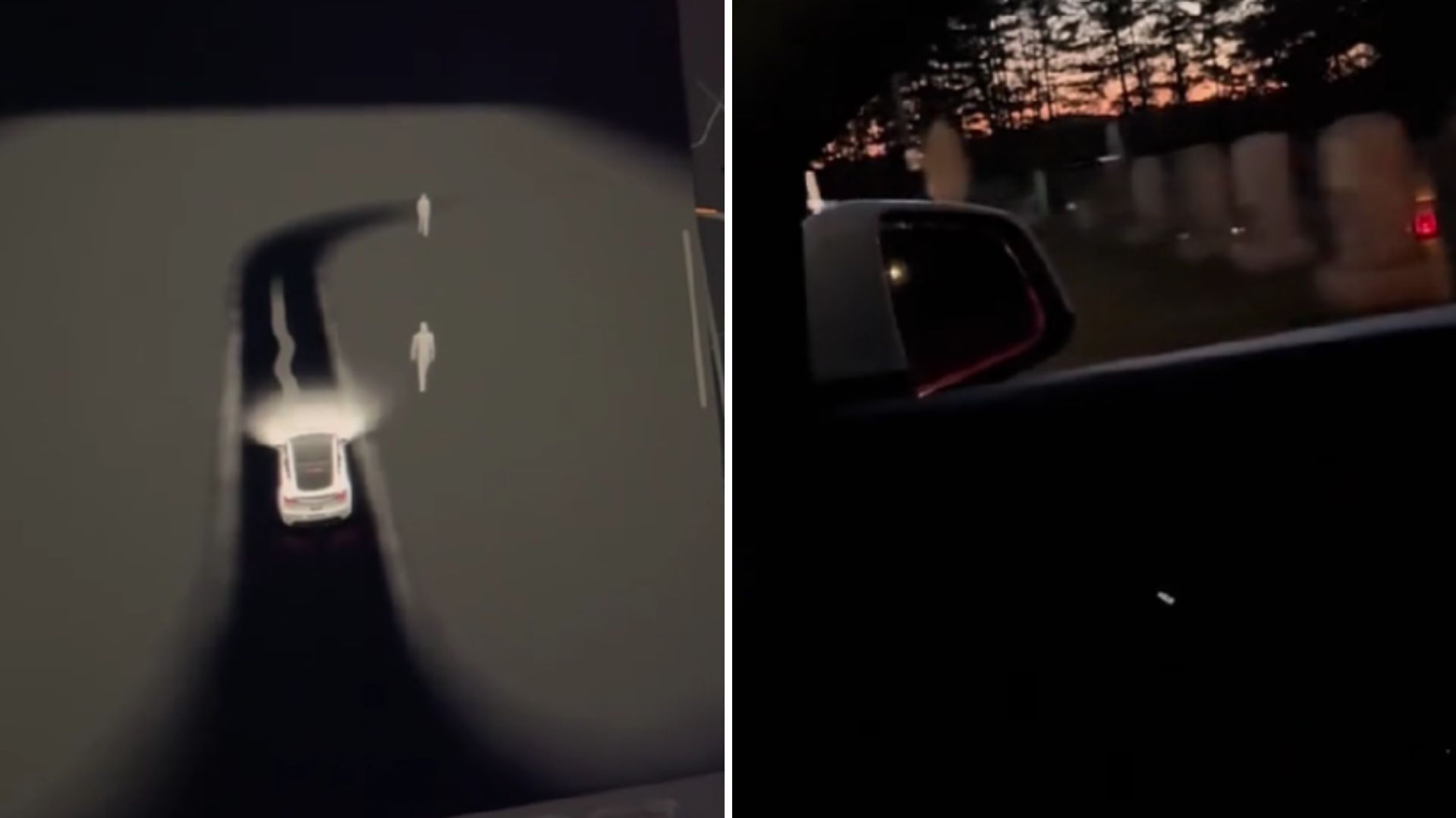 Hombre Conduce en un Panteón y Tesla Detecta Personas a su Alrededor | Video