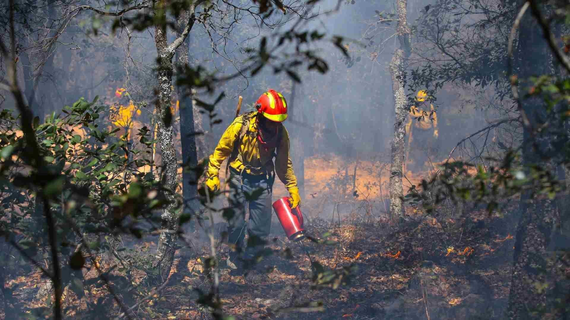 Aumentan incendios forestales en Yucatán y Quintana Roo