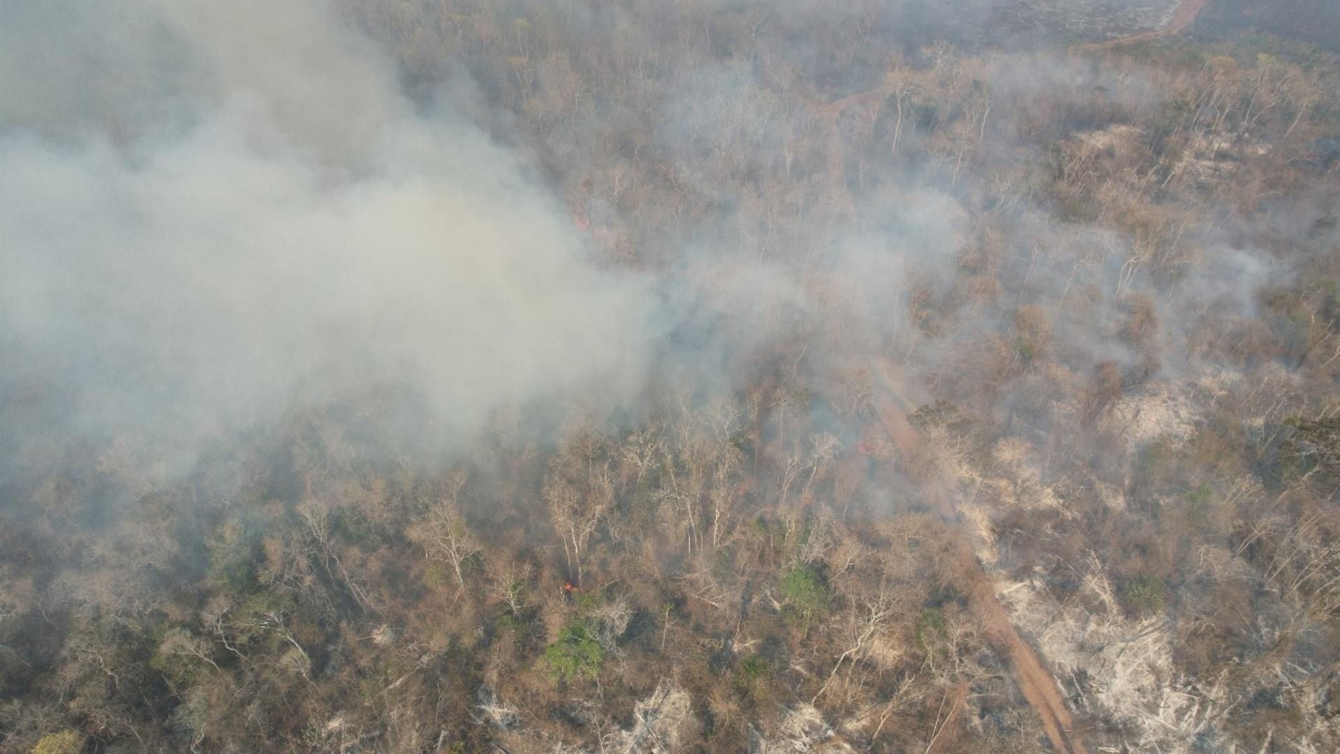 5 Incendios Forestales Arrasan con Más de 4,500 Hectáreas de Selvas y Pastizales en Campeche