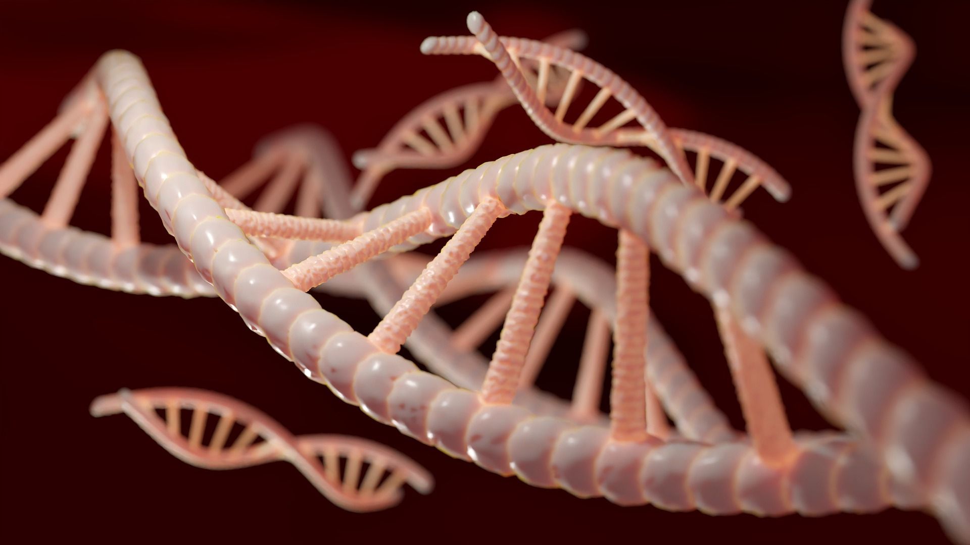 Imagen ilustrativa de una cadena de ADN humano