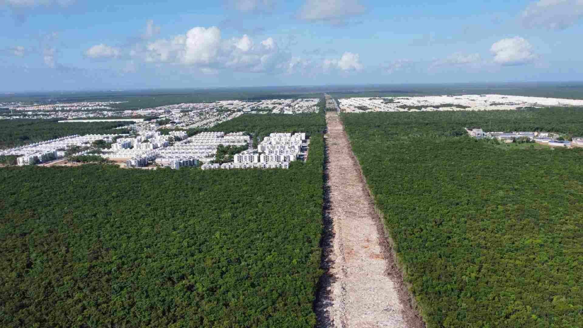 El Tramo 5 del Tren Maya ha provocado una disputa jurídica entre el gobierno y ambientalistas