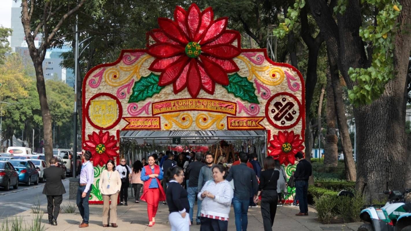 La venta de nochebuenas en el Paseo de la Reforma se realiza en 140 locales con una gran variedad de flores y precios
