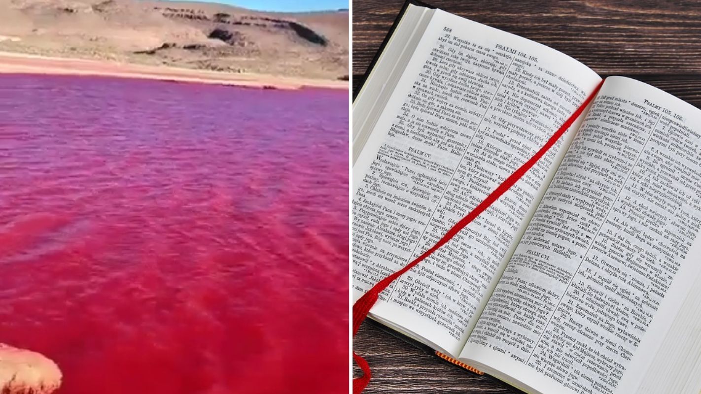 El Río Nilo rojo y su relación con un presagio bíblico. Foto: X @UnidadN593