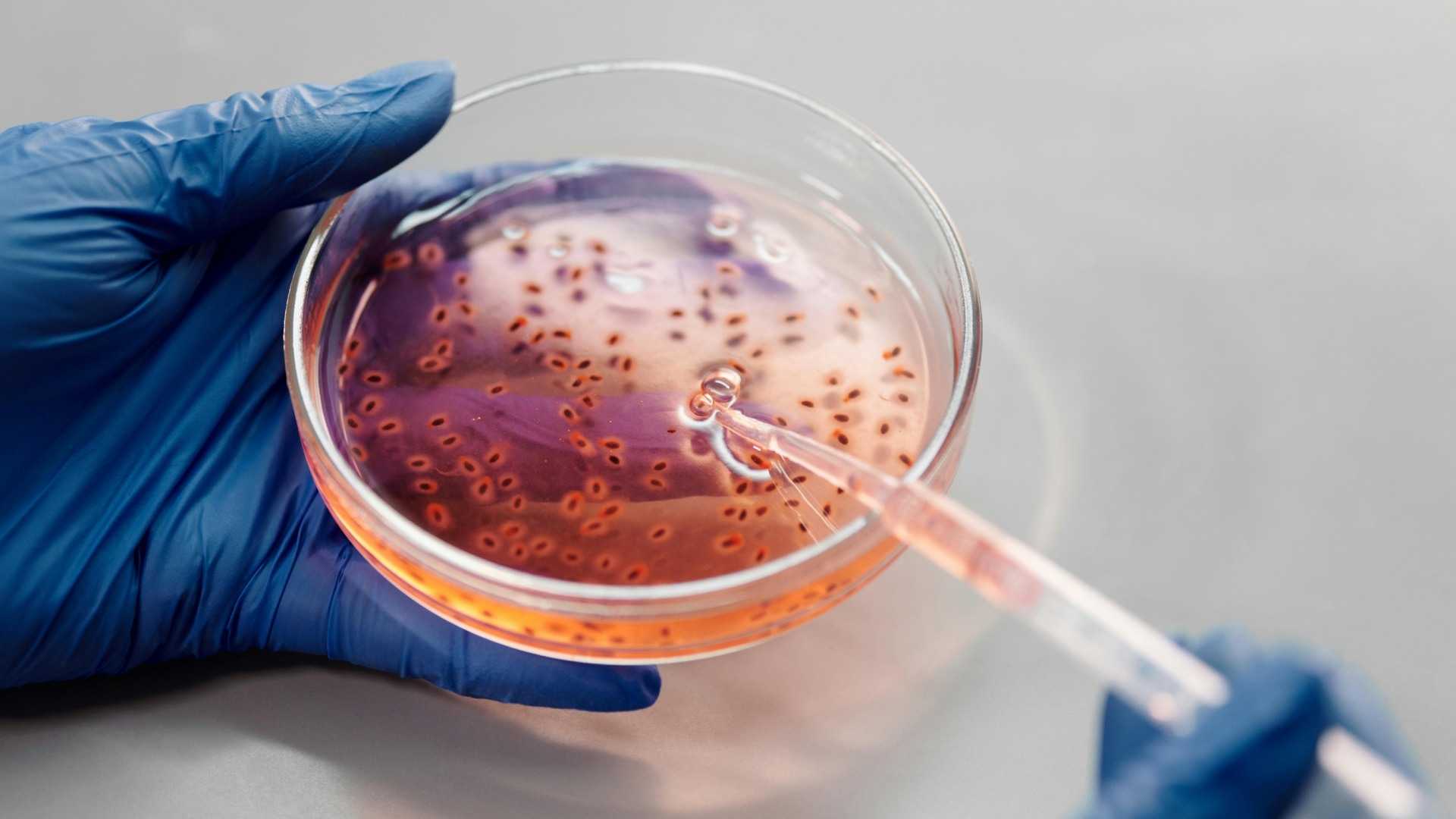 IA Identifica Nuevos Candidatos a Antibióticos contra Bacteria Resistente