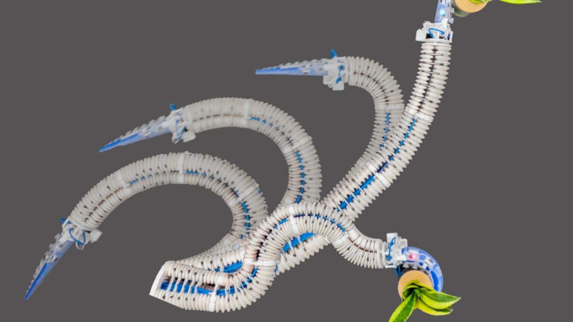 Crean brazo robótico inspirado en tentáculos de pulpo