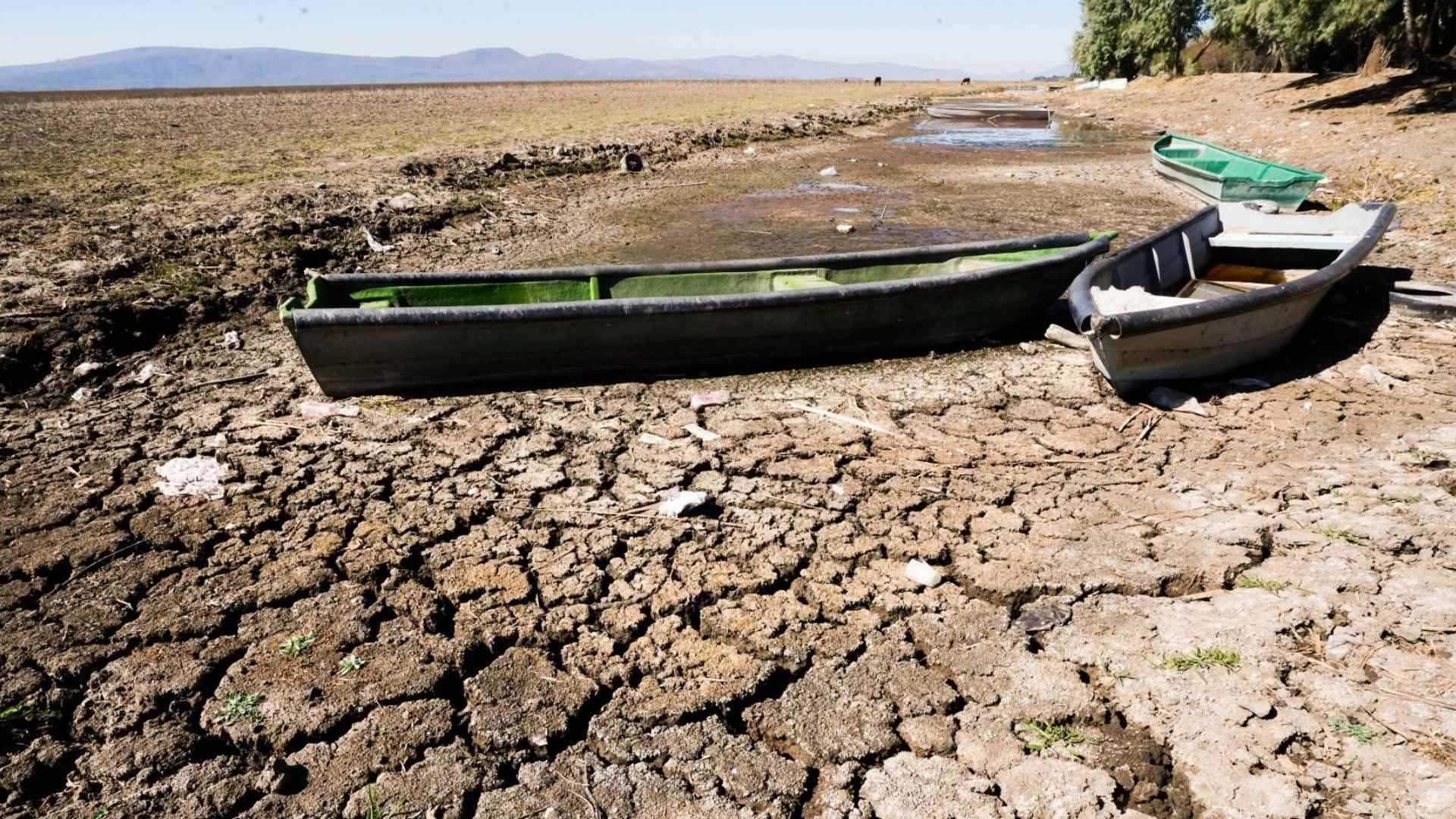 Crean un mapa interactivo que refleja la crisis de la sequía en México