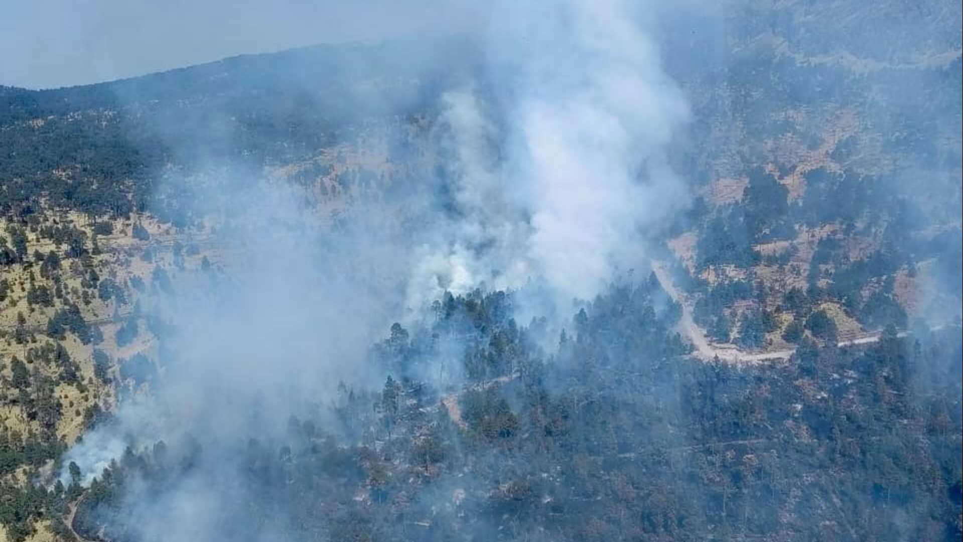 Incendio en Faldas del Nevado de Toluca Afecta Vegetación Endémica