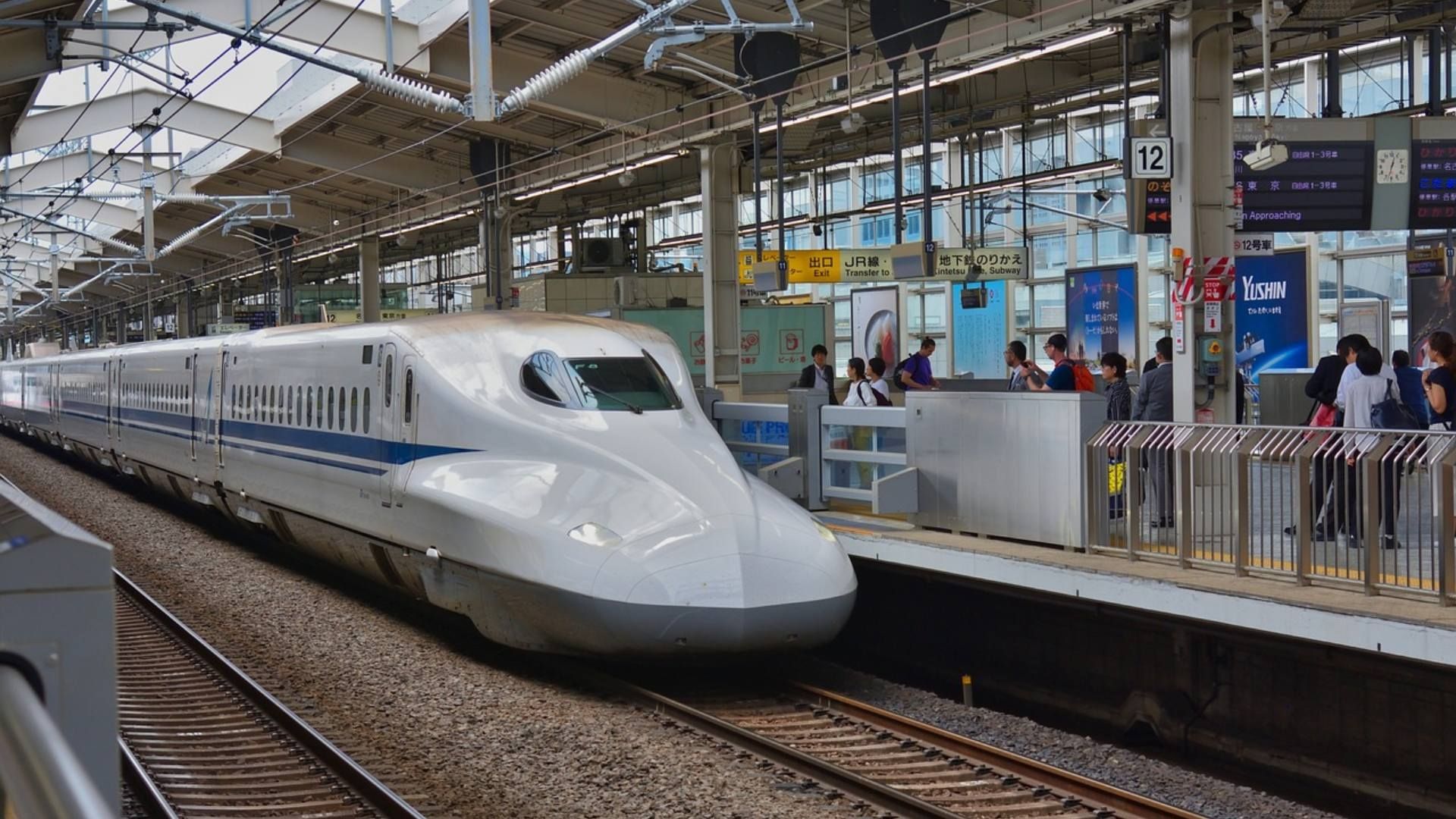 Serpiente Retrasa Trenes de Alta Velocidad en Japón