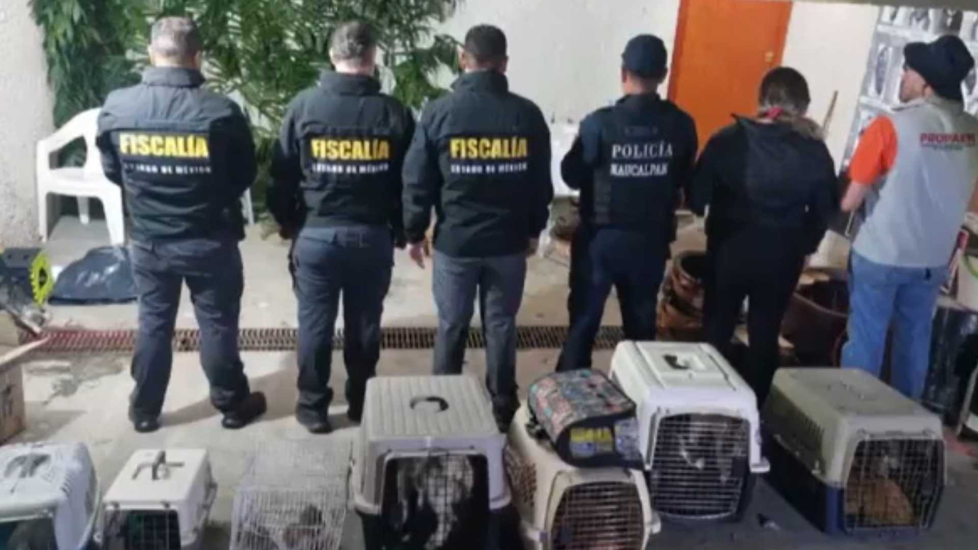 Rescatan a 27 Animales en Casa de Naucalpan 