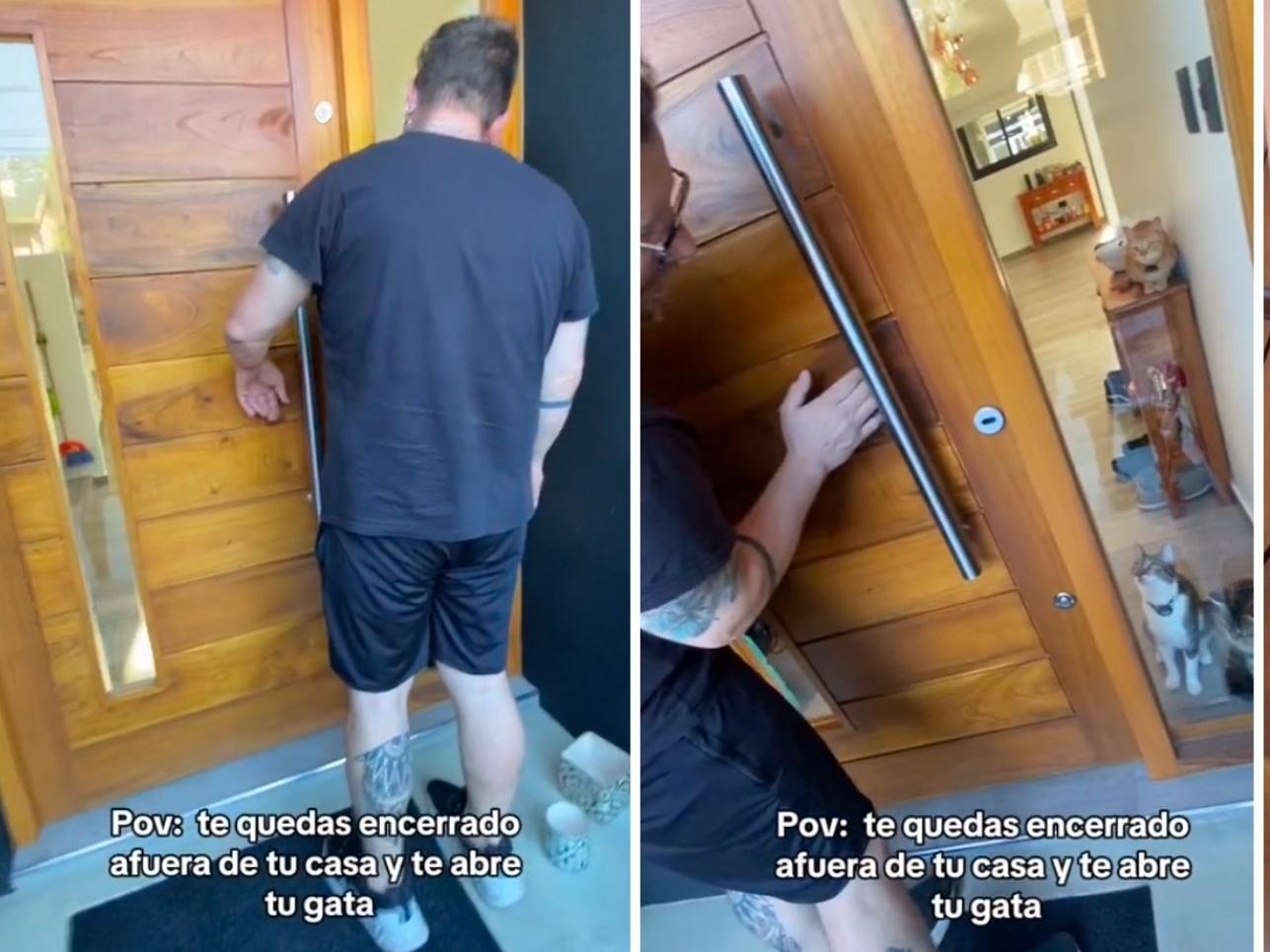 Video | "Cala, Abrime, Dale": Gatita Abre la Puerta a Dueño que Olvidó sus Llaves