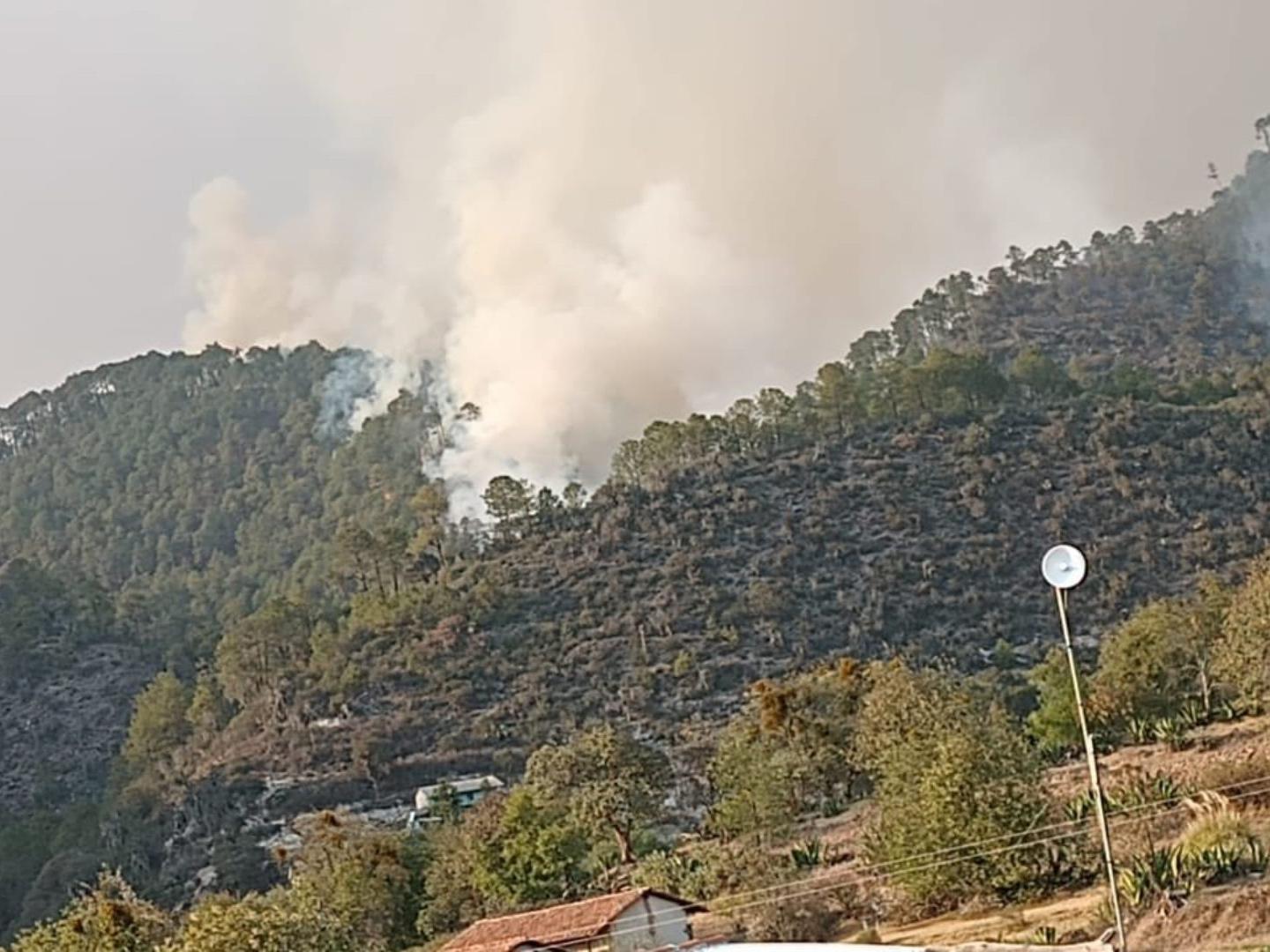 Incendio Forestal Afecta Sierra Norte de Puebla
