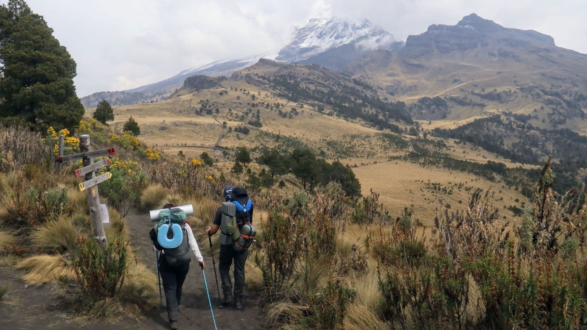 Senderista Halla Restos Óseos en Parque Nacional Iztaccíhuatl- Popocatépetl