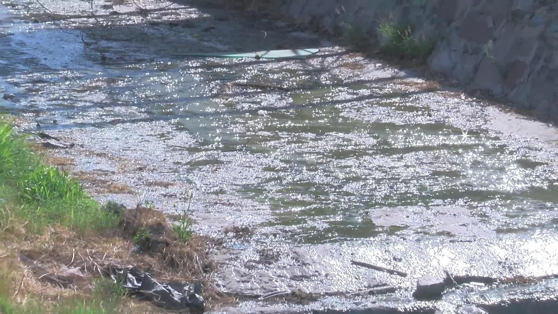 Vecinos de Menchaca piden acciones de limpieza