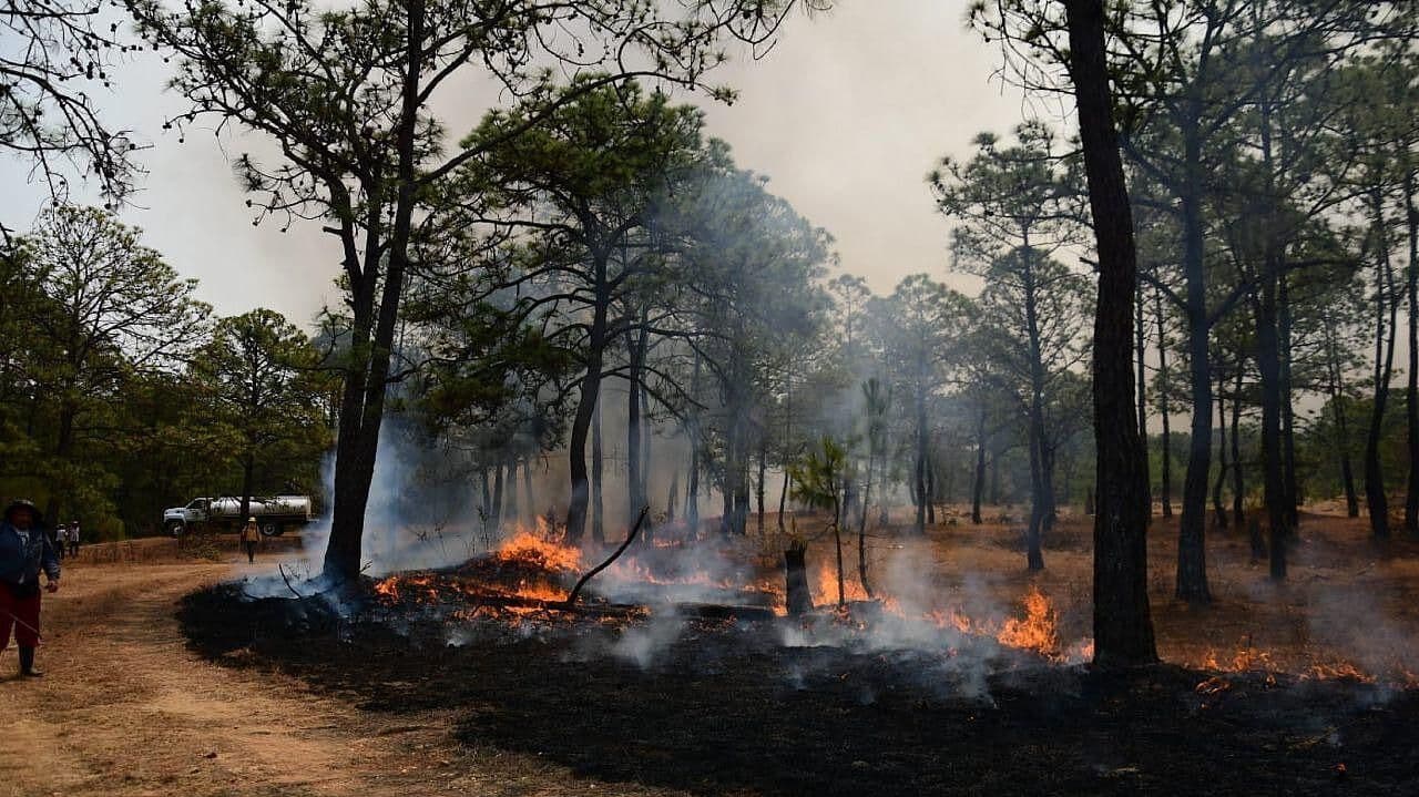 Continúan labores para sofocar incendio en Tejupilco