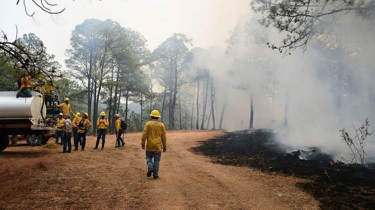 Brigadistas intentan controlar incendio forestal en Tejupilco, Edomex