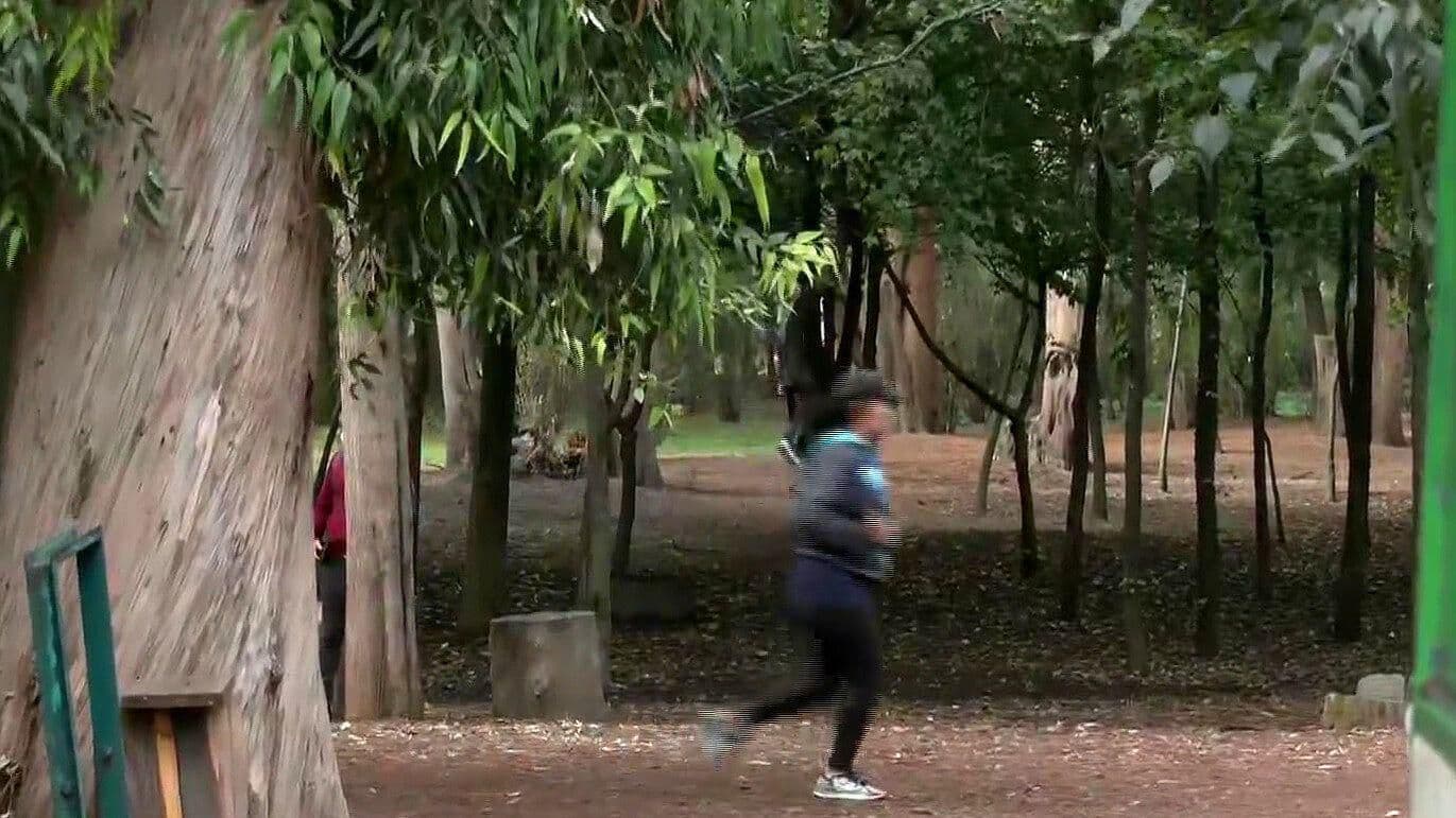 Corredores del Parque de los Viveros, Coyoacán, denuncian robos y cristalazos