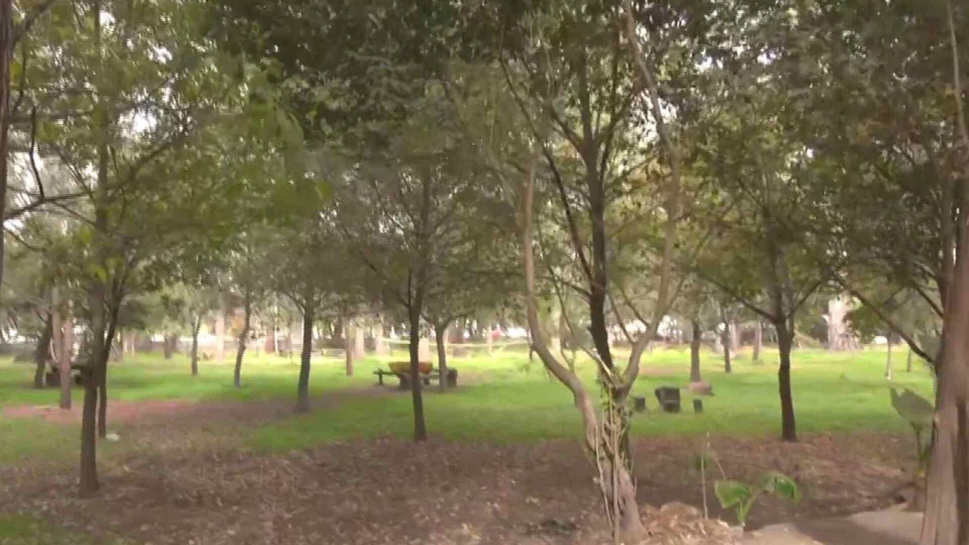 Tras Hallazgo de Otro Perro Muerto en Bosque de Nativitas, Vecinos Piden Mayor Seguridad