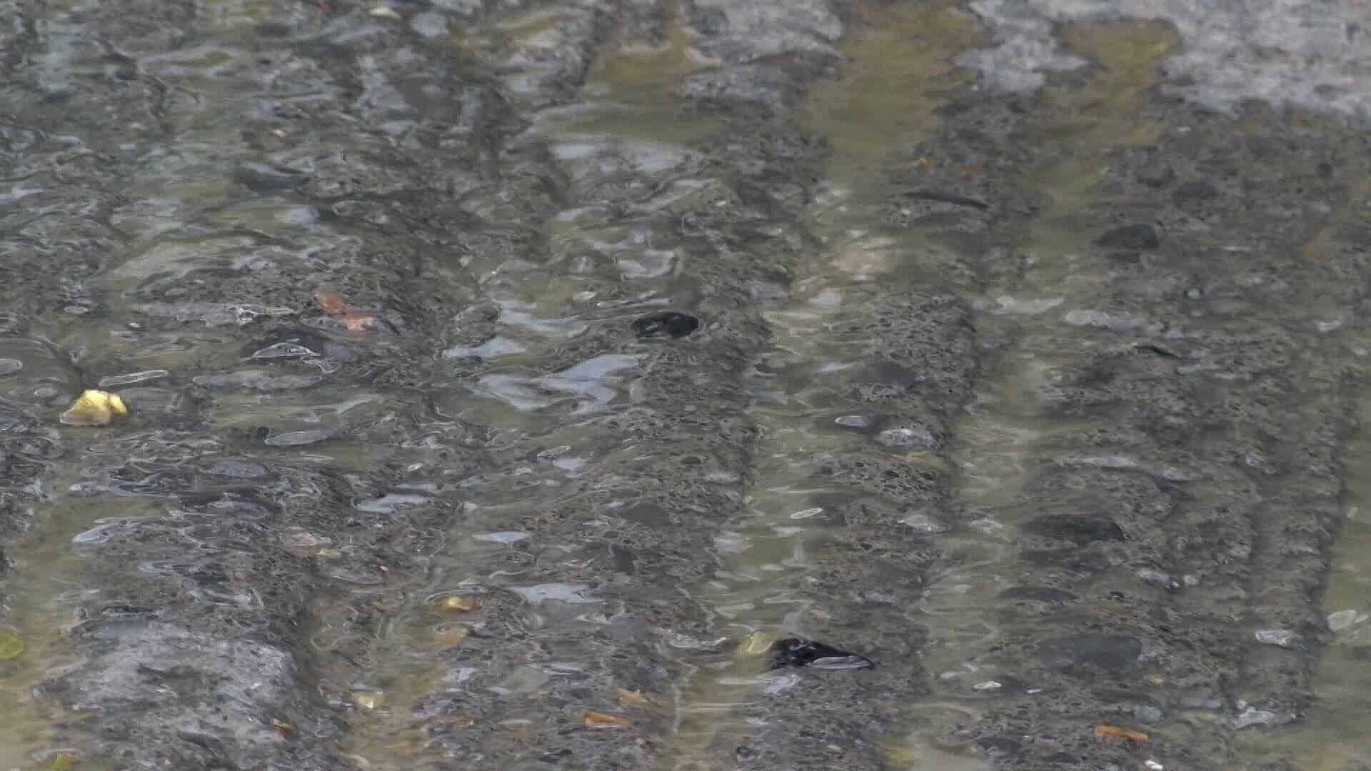 Vecinos de colonia Gloria Mendiola no tienen agua potable, tienen aguas negras