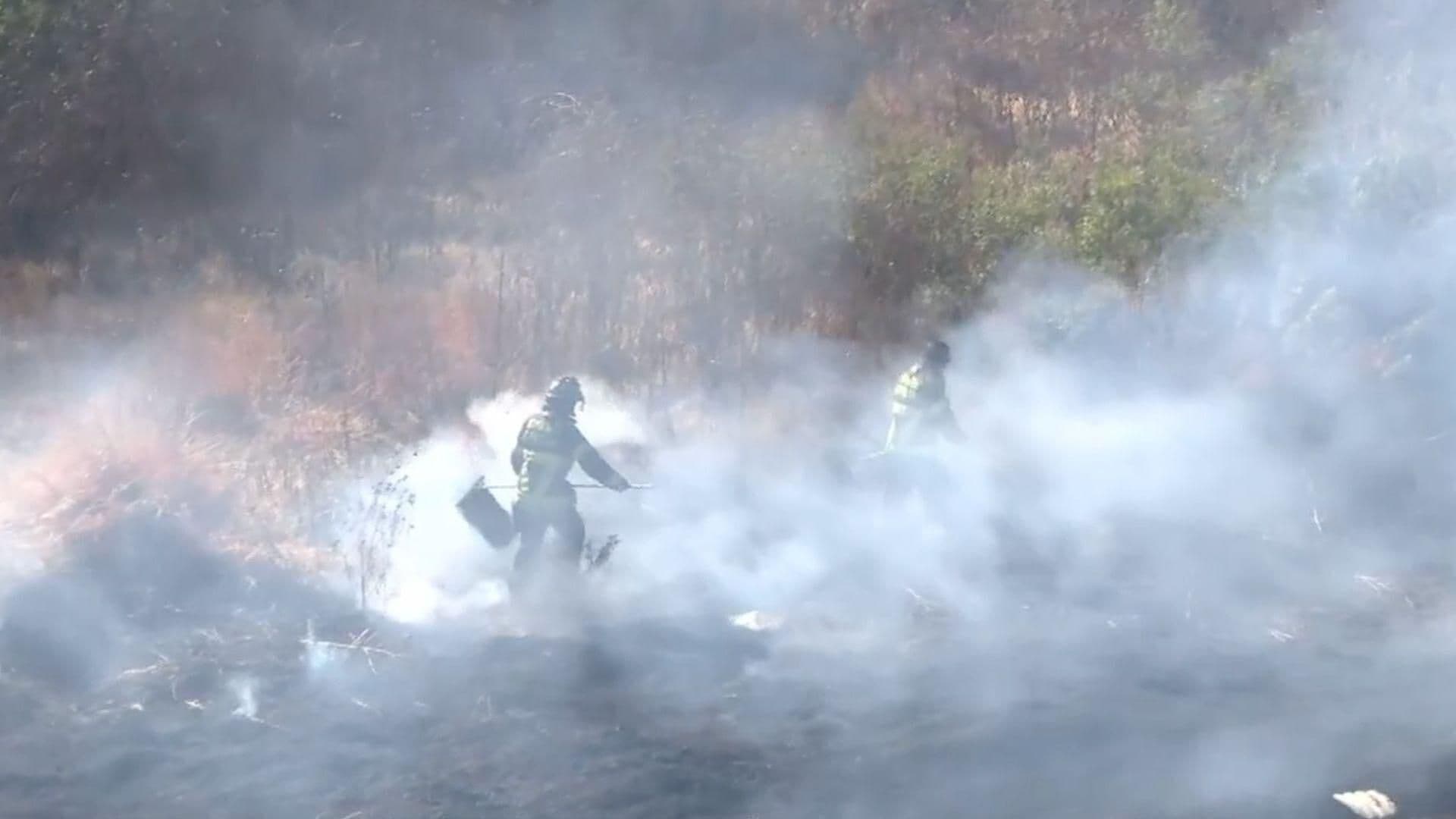 Bomberos Combaten Incendio de Pastizal en Teófilo Borunda