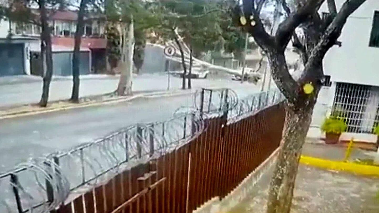 Captan Caída de Árbol sobre Auto en Calzada Las Águilas, CDMX
