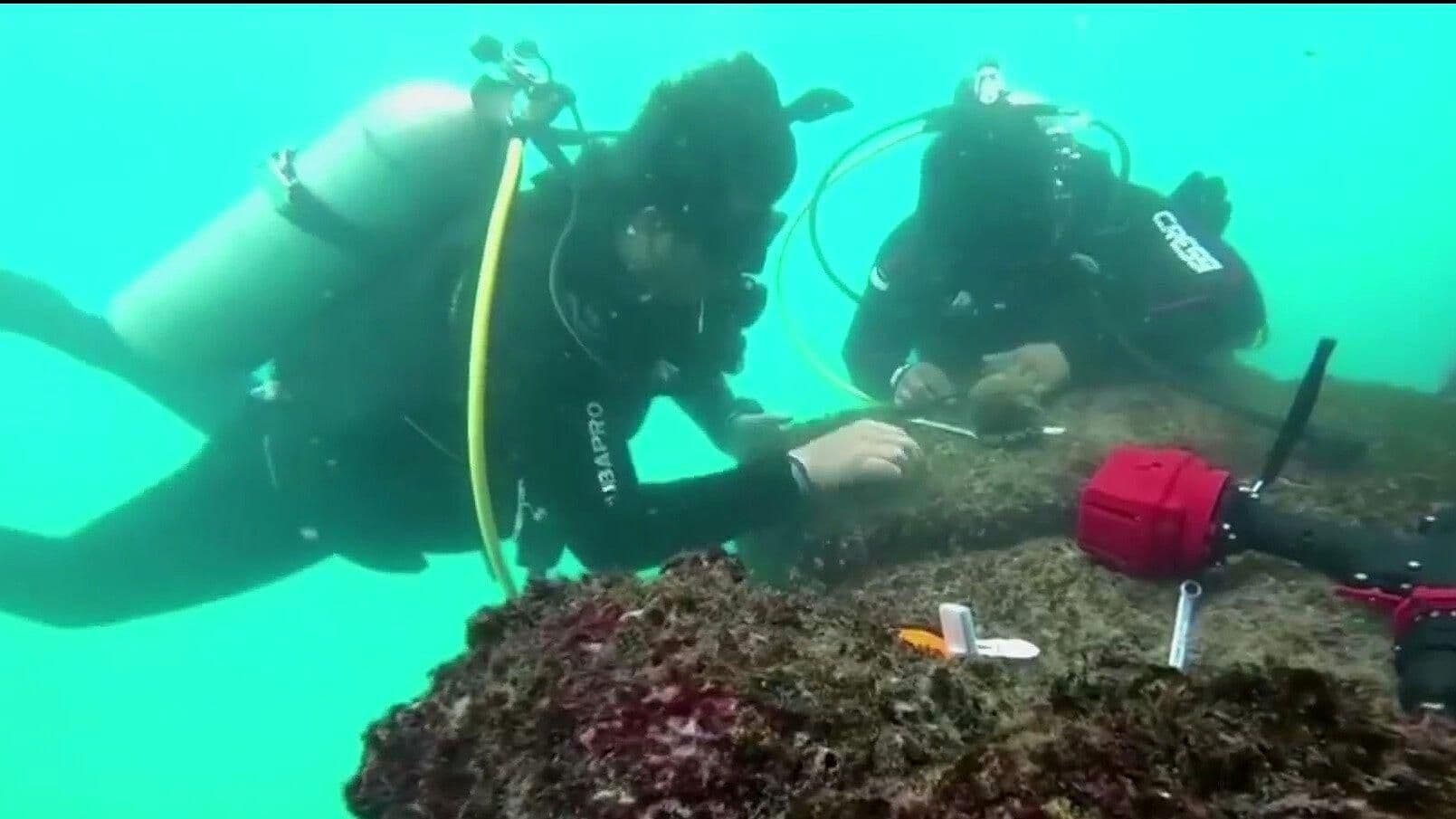 Prueban método de replantación de coral en Islas Galápagos