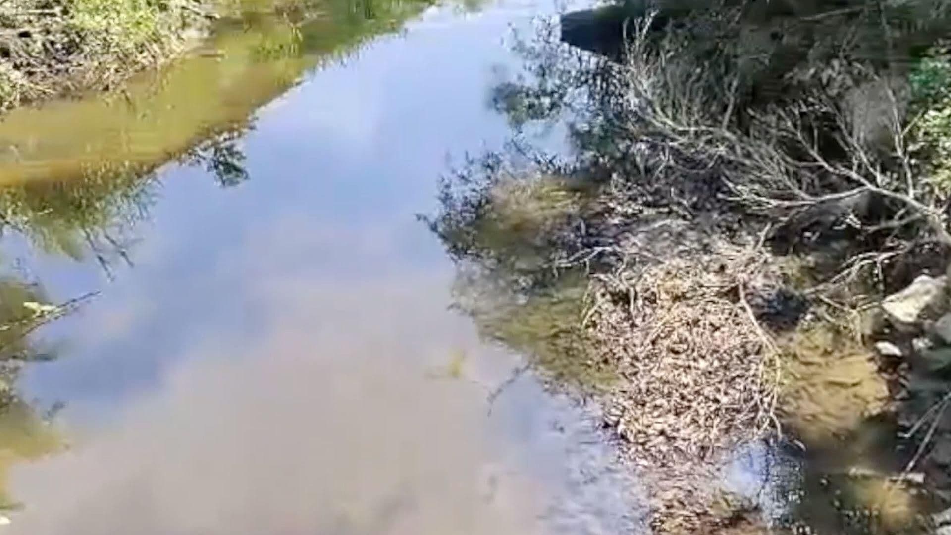 Protección Civil Supervisa Arroyos por Presunta Contaminación de Crudo en Nanchital
