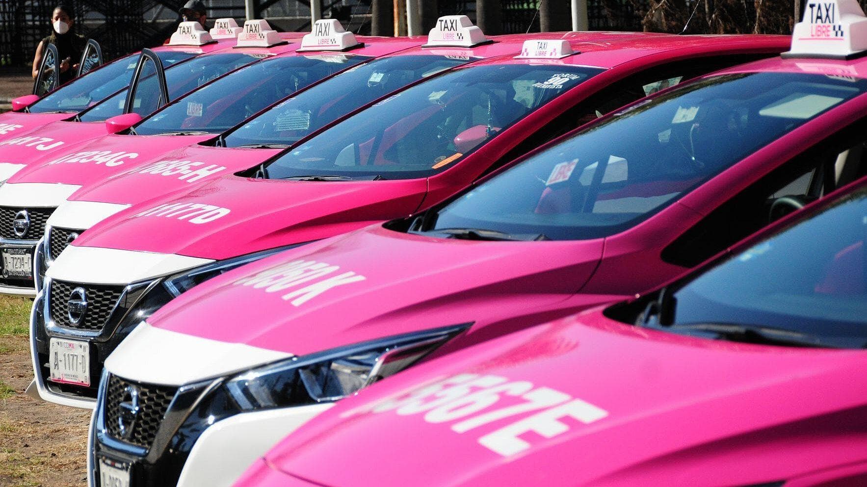 Taxista Dice que No Quería Secuestrar a Lidia Gabriela