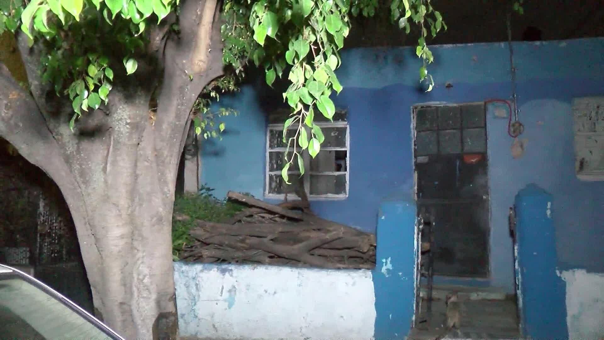 Localizan Cuerpo en Estado de Momificación en la Colonia Constitución, en Zapopan