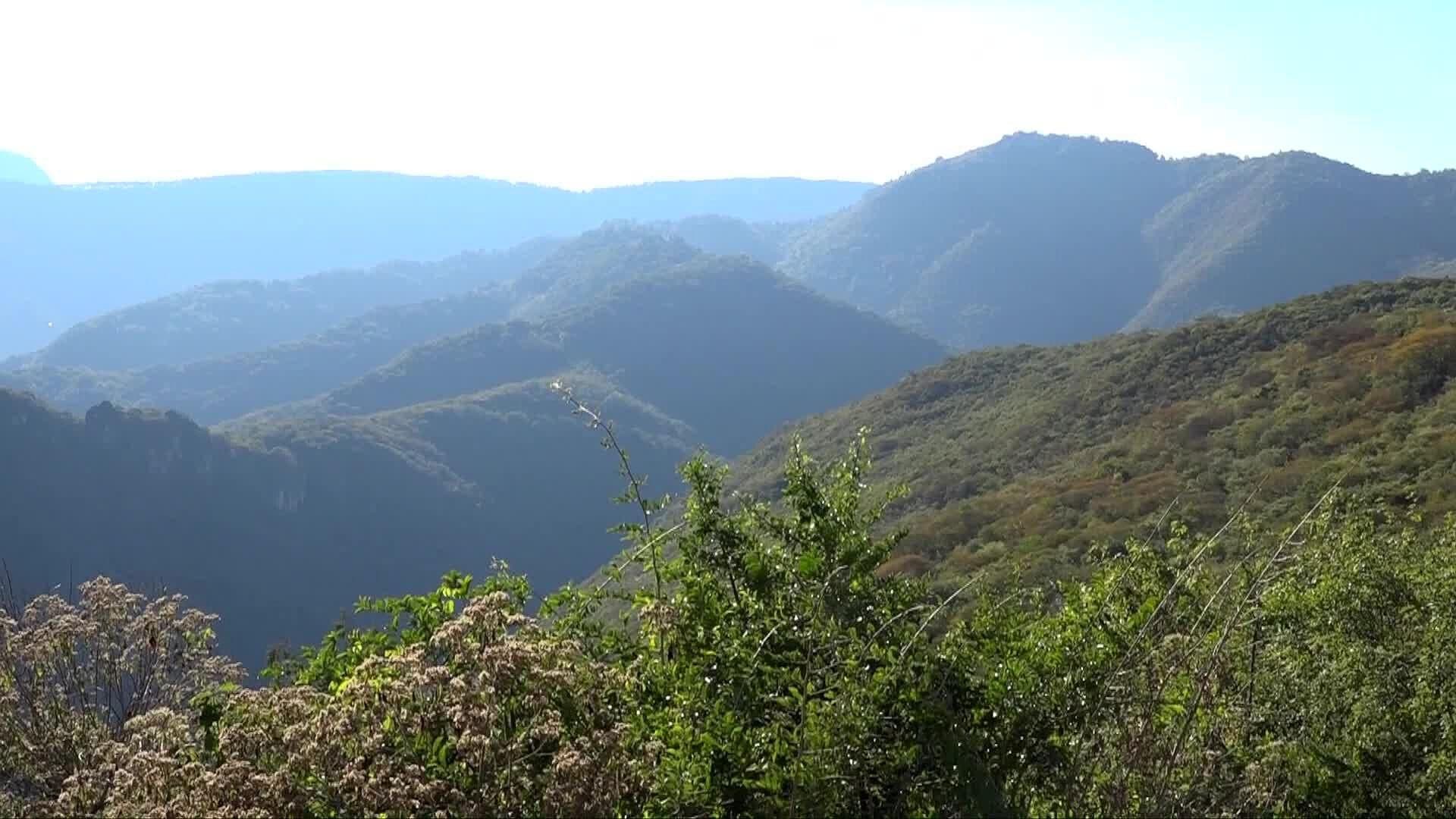Se Registraron Varios Sismos en la Zona Serrana Como: Pinal de Amoles y Jalpan de Serra