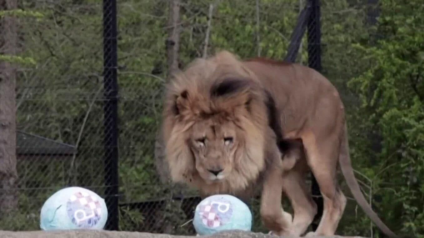 Así Celebraron la Pascua en Zoológico de Croacia