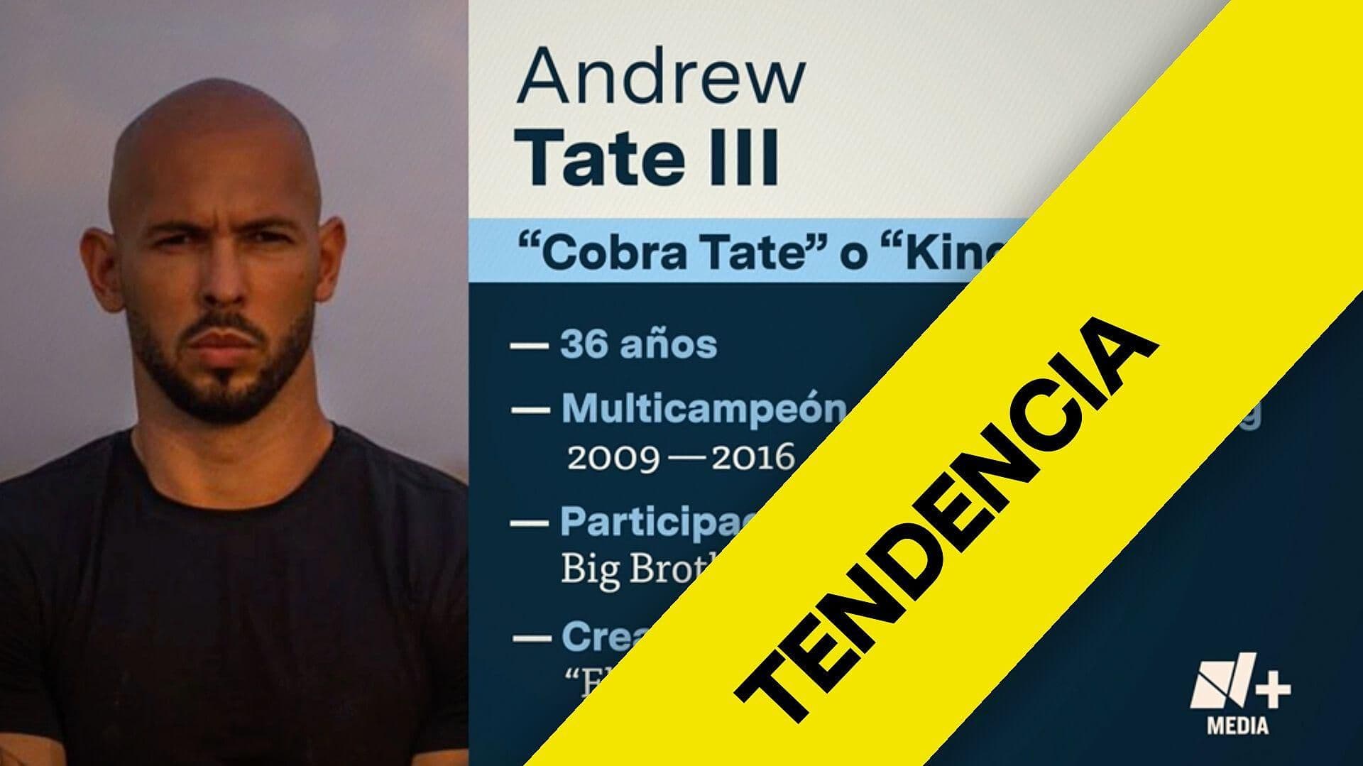 ¿Cómo Empezó el Pleito Entre Greta Thunberg y Andrew Tate?