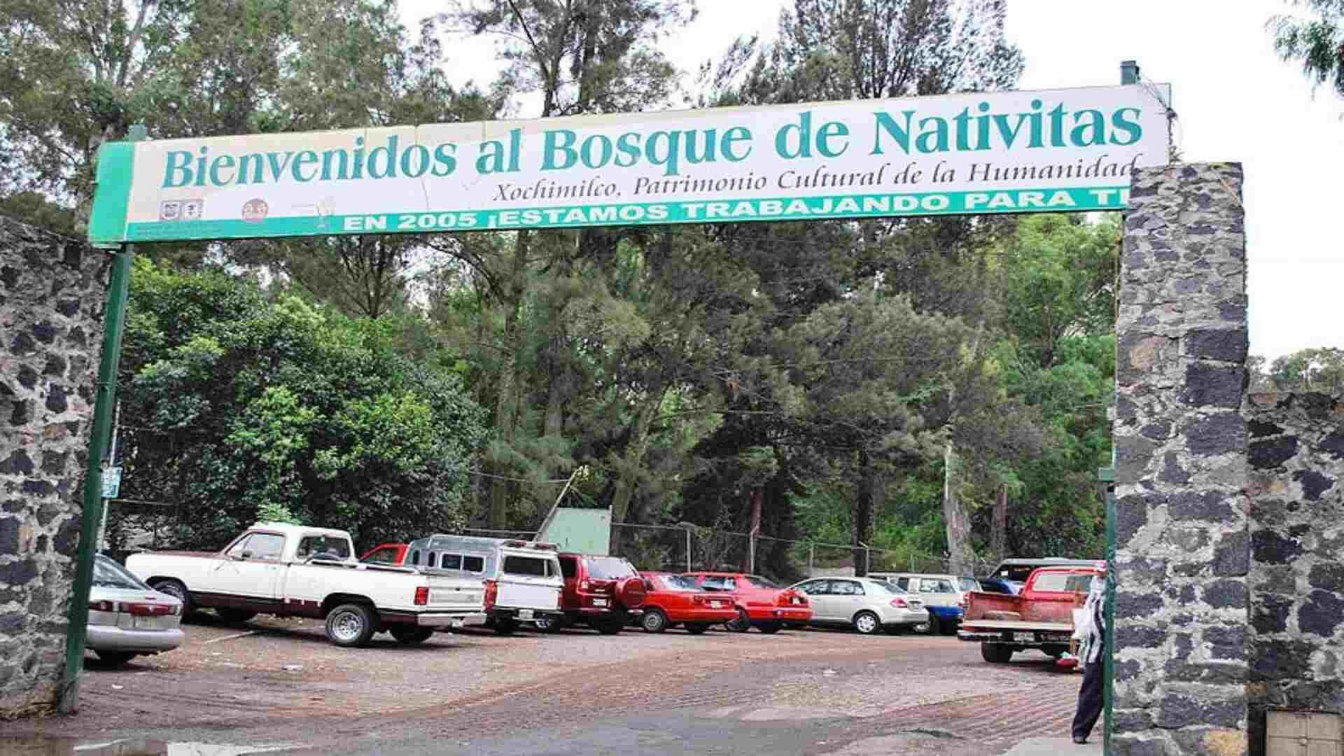 Ya son 24 los Perros Asesinados en el Bosque de Nativitas