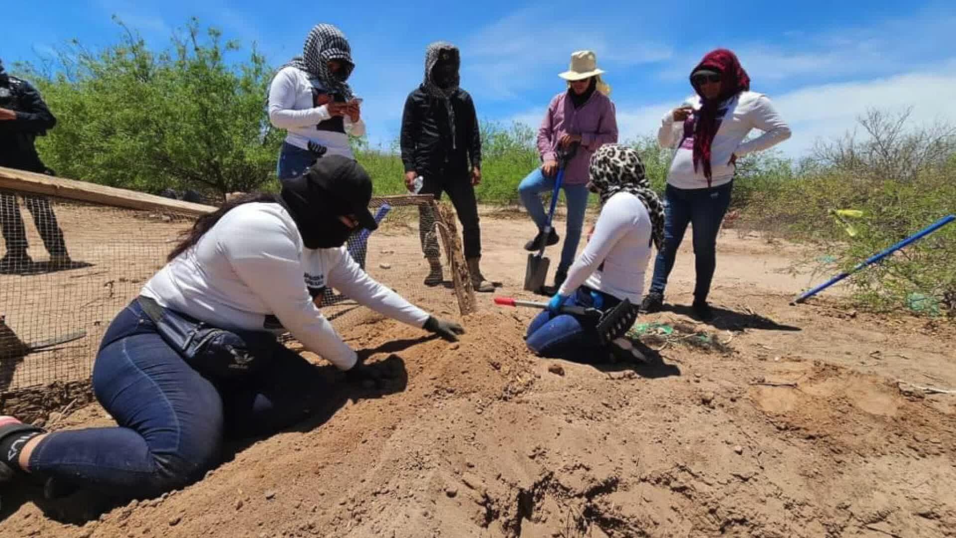 FGJE Analiza Nuevos Restos Óseos Encontrados en El Choyudo