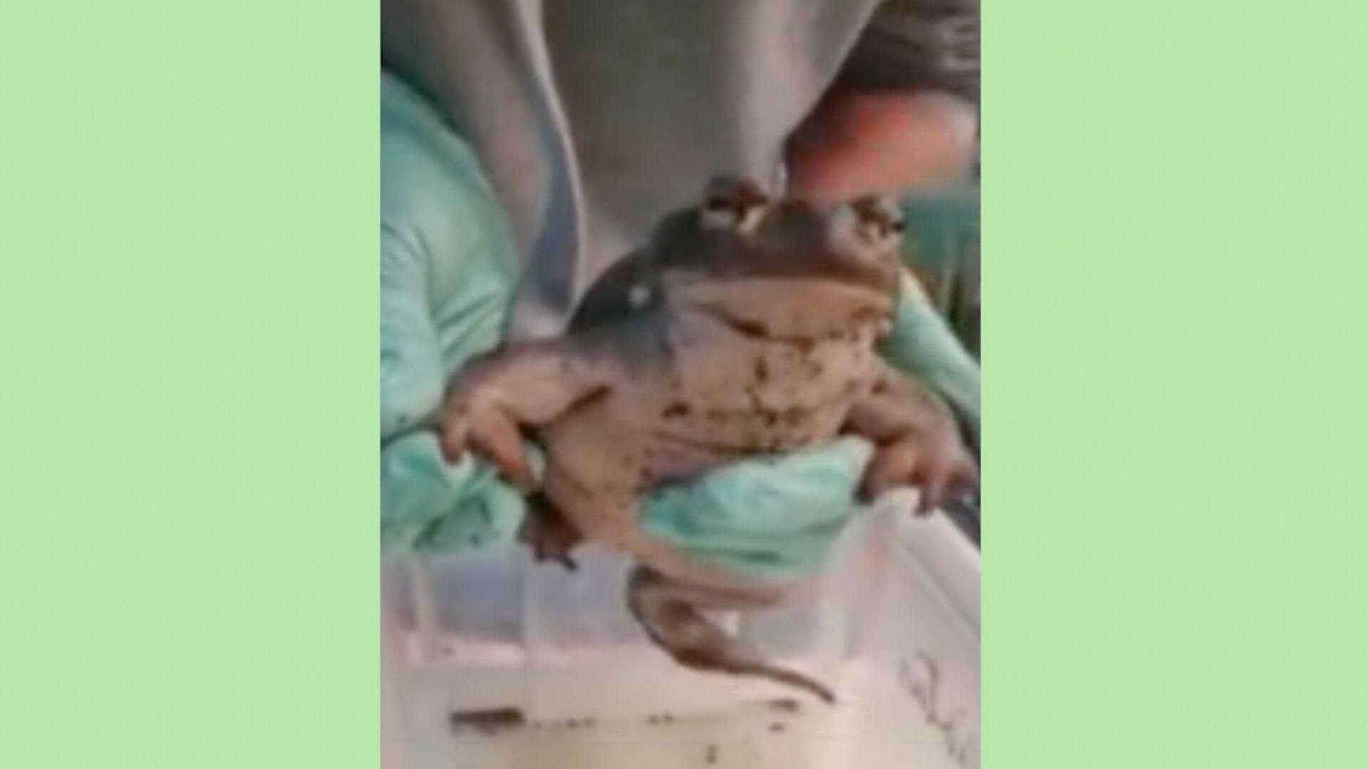 Video