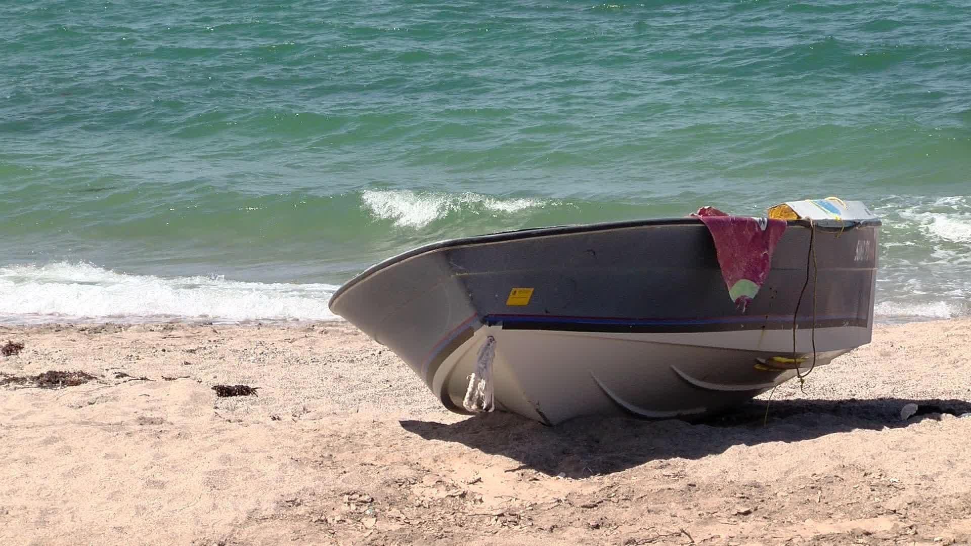 Aseguran 15 Kilométros de Redes Ilegales y 100 Peces Totoabas Muertos en Golfo de California