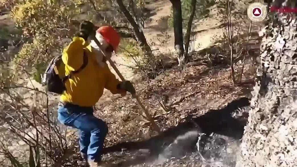 Se Combaten Fuego de Incendios del Altiplano Tamaulipeco