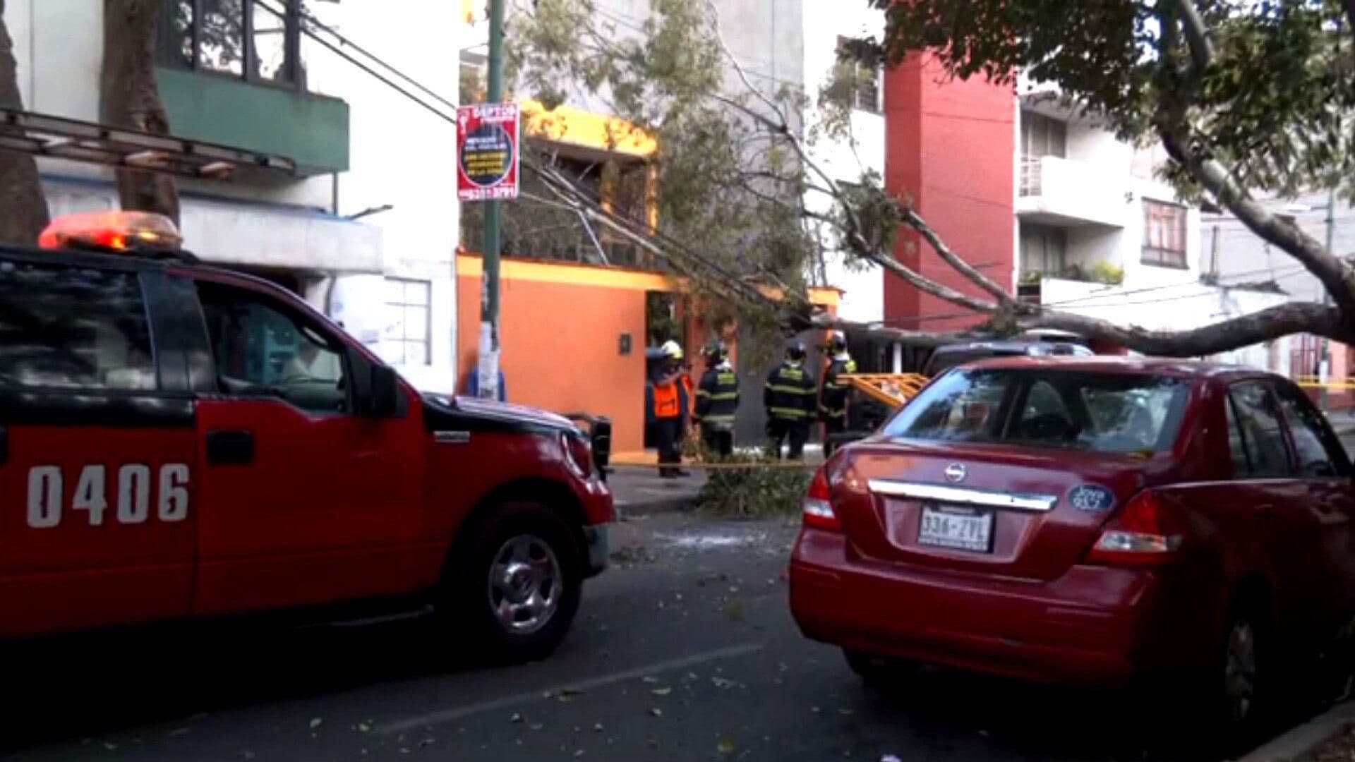 Árbol Gigante se Derrumba Sobre Camioneta en la Portales, CDMX