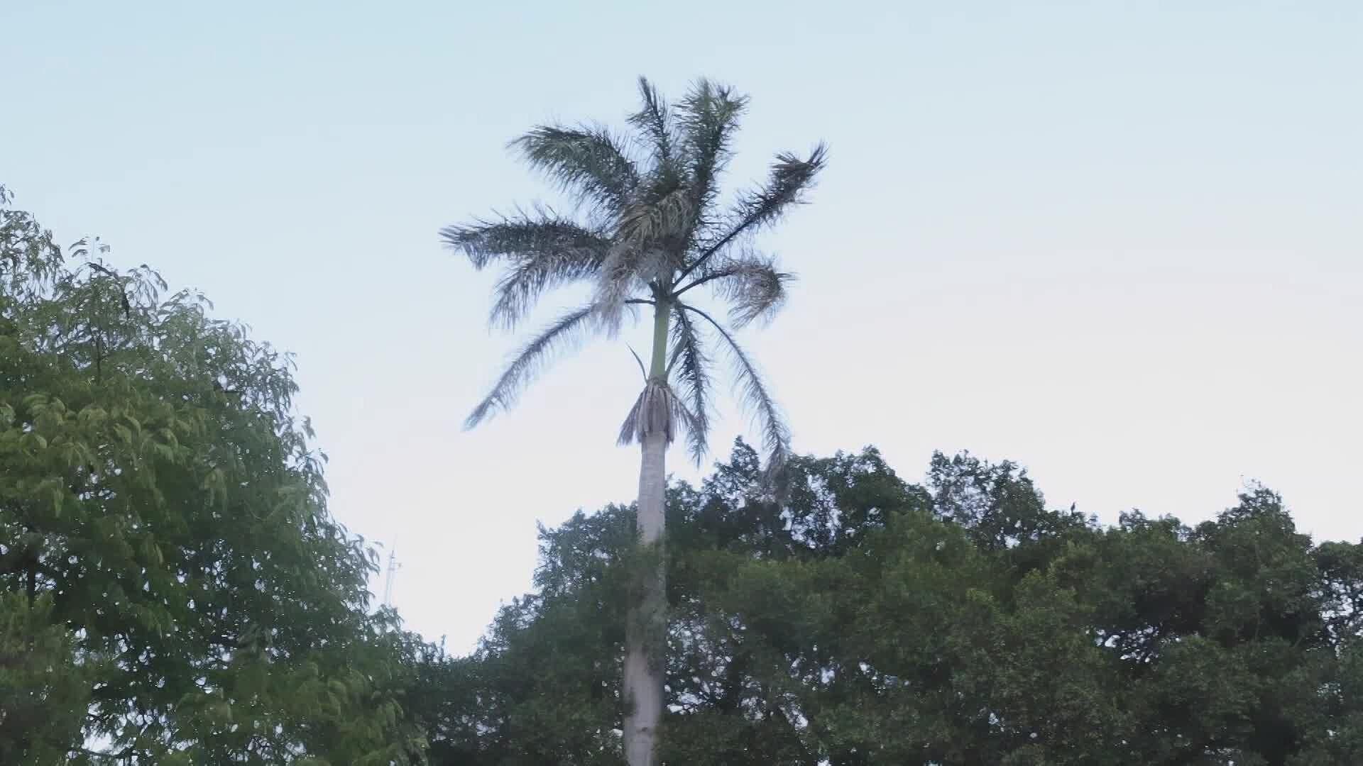 En Ciudad Valles se han Registrado Temperaturas por Arriba de los 50 Grados