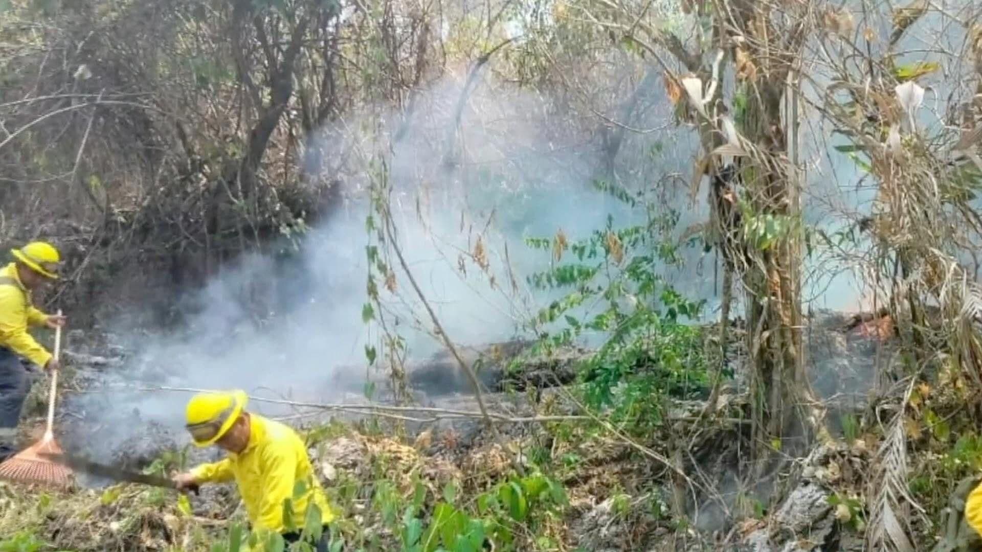 Atienden Incendio Forestal de Uxpanapa, Veracruz