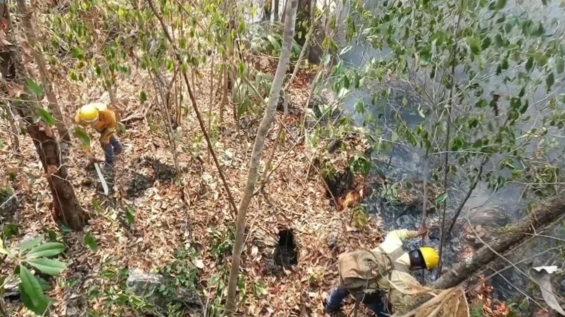 Sofocan Tres Incendios Forestales en el Valle de Uxpanapa
